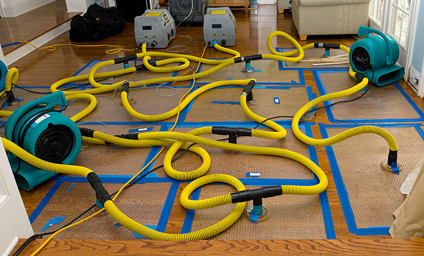 Professional Crawl Space Water Removal technician working in Swanton, OH